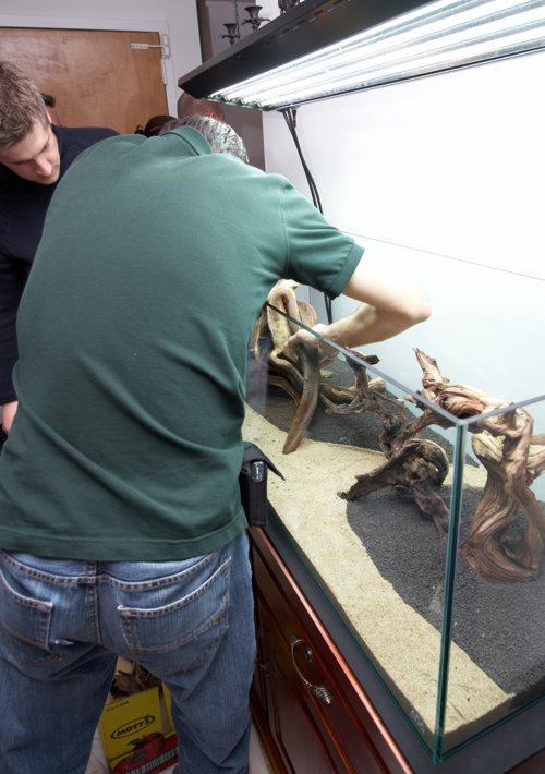 jay and Sergio arranging the wood