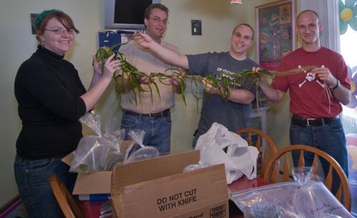 Holding Audrey II