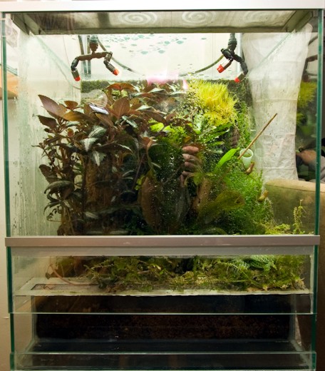 Vivarium