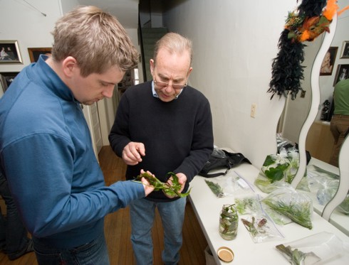 Jay and Hank discuss the Java fern