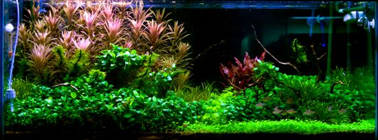 Full shot of the 75g