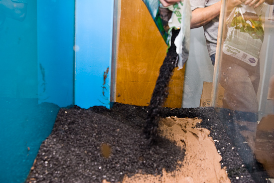 Laying down the mineralized soil and Flourite