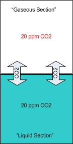 Drop Checker Equilibrium